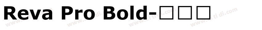 Reva Pro Bold字体转换